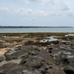 2025年の夏に、球海溝の海底に大噴火とそれによる大津波で、沖縄、九州、四国、 本州の太平洋側で50ｍ級の大津波の恐れが！？ （『岩戸開き13号』記事、梨岡京美さんの緊急提言より）