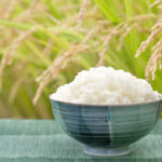 『岩戸開き』第20号が予約開始です!