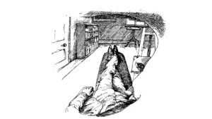 悟りは特別な体験ではない －禅と非二元が明かす「頭がない」という衝撃の真実